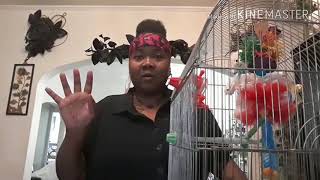 A Lil' update for my sweetbabies feat. Ms. Kandace Kamise🐦🐤🕊🤗