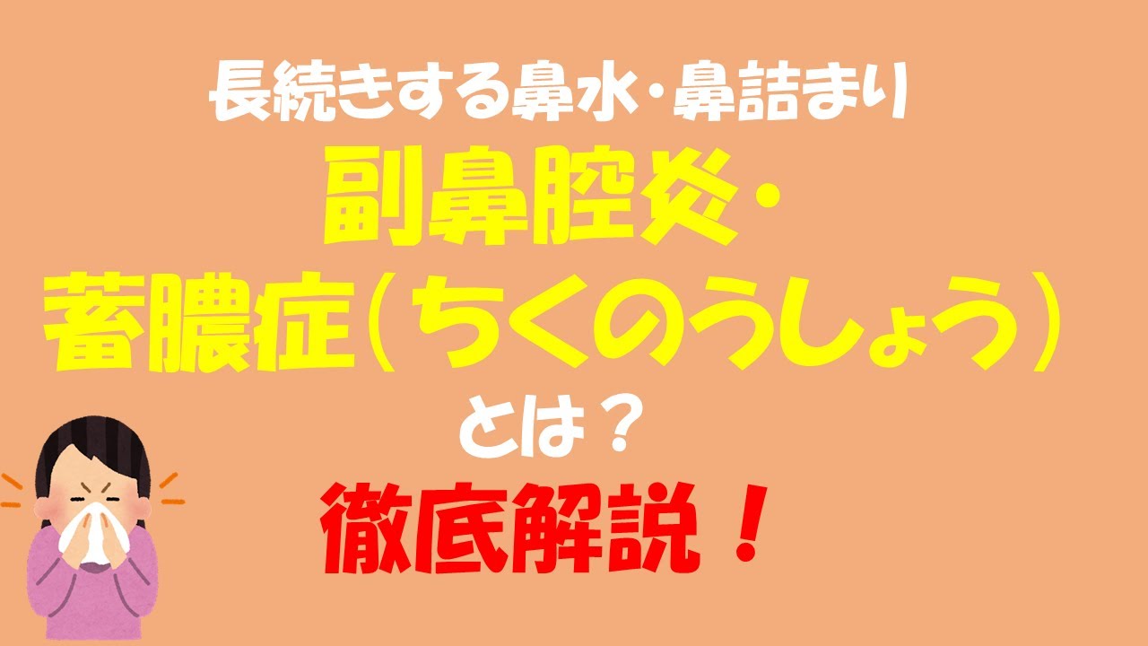 副鼻腔炎 谷口耳鼻咽喉科 西宮市 阪急夙川駅南口すぐの耳鼻咽喉科
