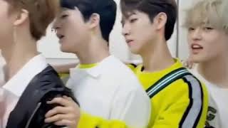 A smol nct memes and vines compilation to help you vanquish your enemies