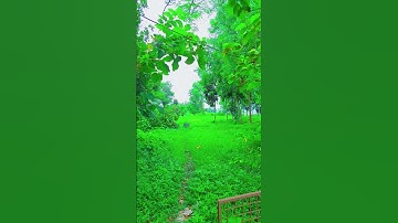 সুবহানাল্লাহ #سورة الإخلاص #Surah ঈখলাস #সূরা ইখলাস #quran #alquran #holyquran #viral #viralshort