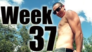 Better late than never........... Week 37