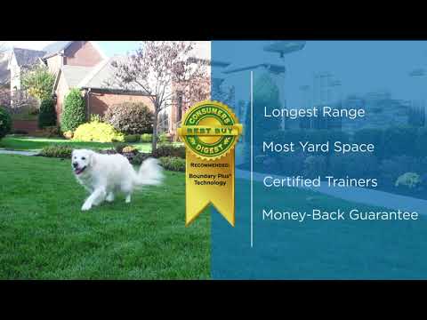 Invisible Fence pioneered the pet containment industry in 1973, making it their mission to provide safe boundaries inside and outside of the home. The Radio Systems Corporation® owned company predominantly sells pet containment, avoidance and access solutions across the U.S. and Canada. For more information on Invisible Fence or to find a local dealer, visit InvisibleFence.com.