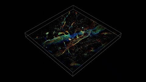 2024 First Place Video Winner: 3D nanoarchitecture of neuronal membranes with Channelrhodopsin-2.
