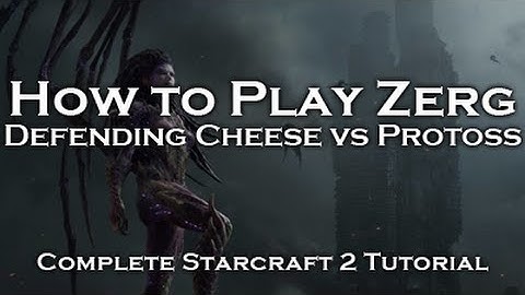 [Starcraft 2: HoTS] Zerg Tutorials - Defending Cheese vs Protoss (ZvP)
