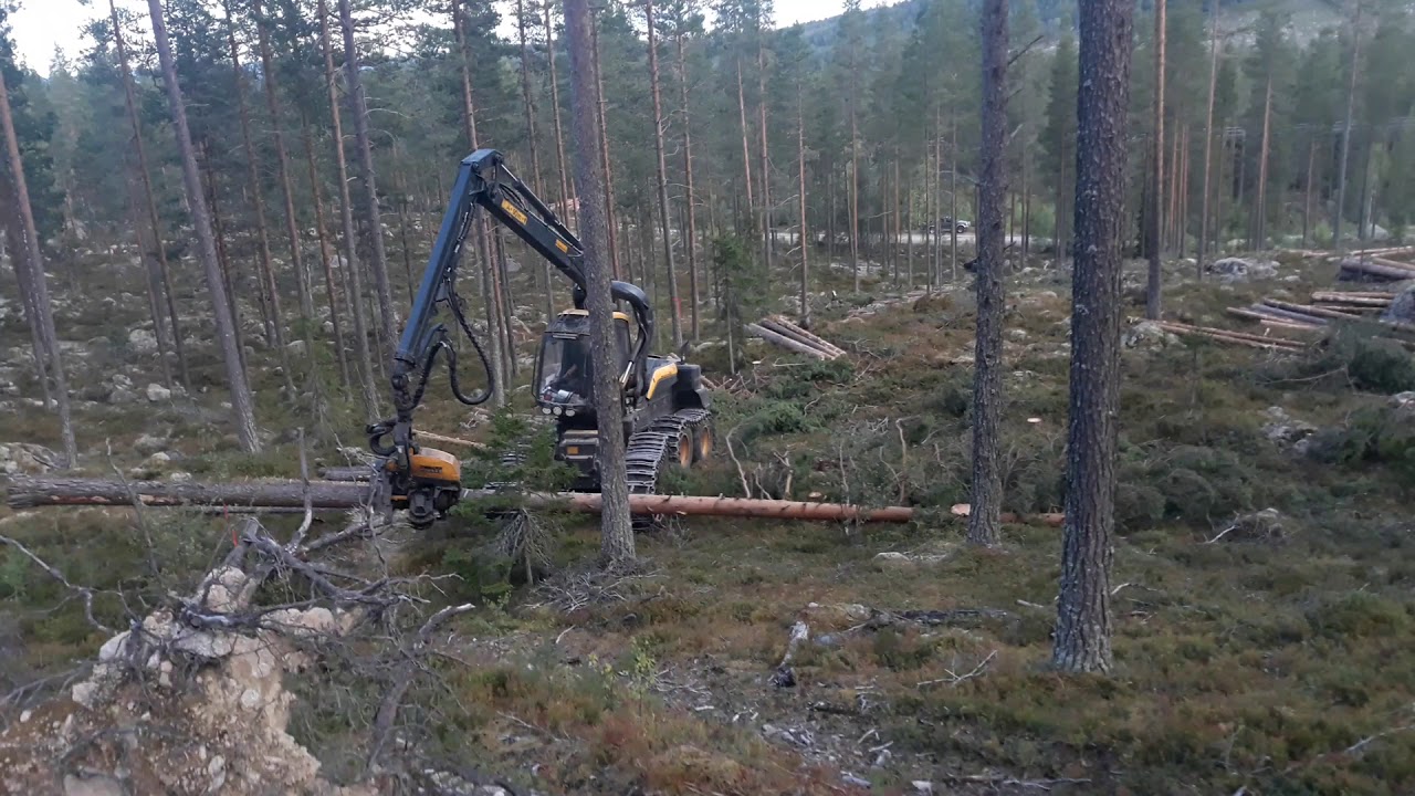 Edsta skog  PONSSE SCORPION KING