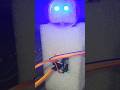 Building a Humanoid on a very low Budget: Part 1 (The head and eyes) #shorts #youtubeshorts