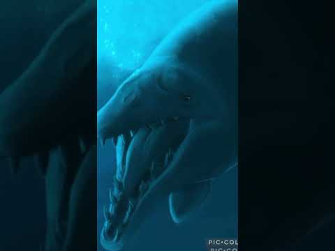 Basilosaurus vs sperm whale #marinebiology #paleontology #marinemammal #Whales #1v1 #Edit