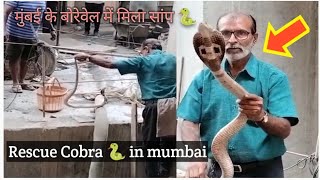 Rescue Cobra snake🐍 in mumbai !! Mumbai mein khatarnaak saanp pakda !! #cobrasnake