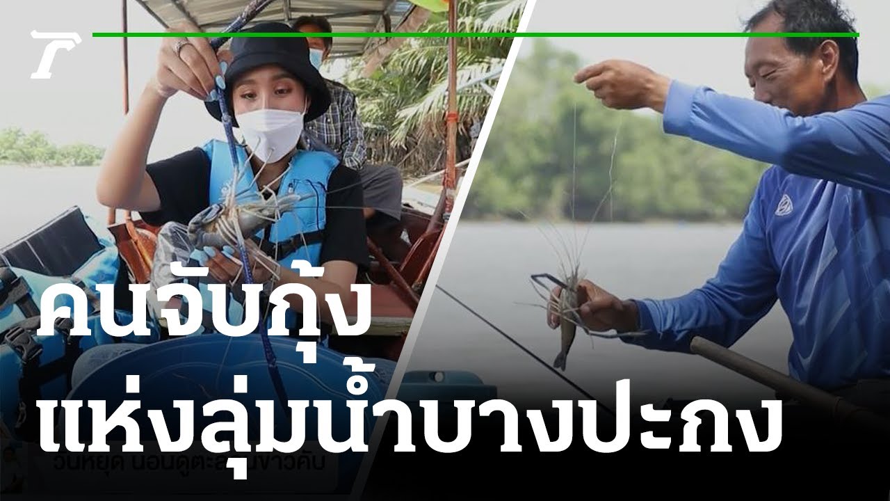 คนจับกุ้ง แห่งลุ่มน้ำบางปะกง | 14-11-64 | ตะลอนข่าวสุดสัปดาห์