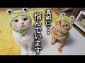 真剣に悩んでいることがあります...