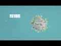 Animation: Why the Flu Virus Changes and Mutates
