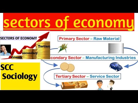 Economic sectors : primary, secondary, tertiary and Quinary sectors| Brains theory