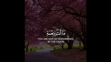 سورة القلم قارئ سالم الرويلي