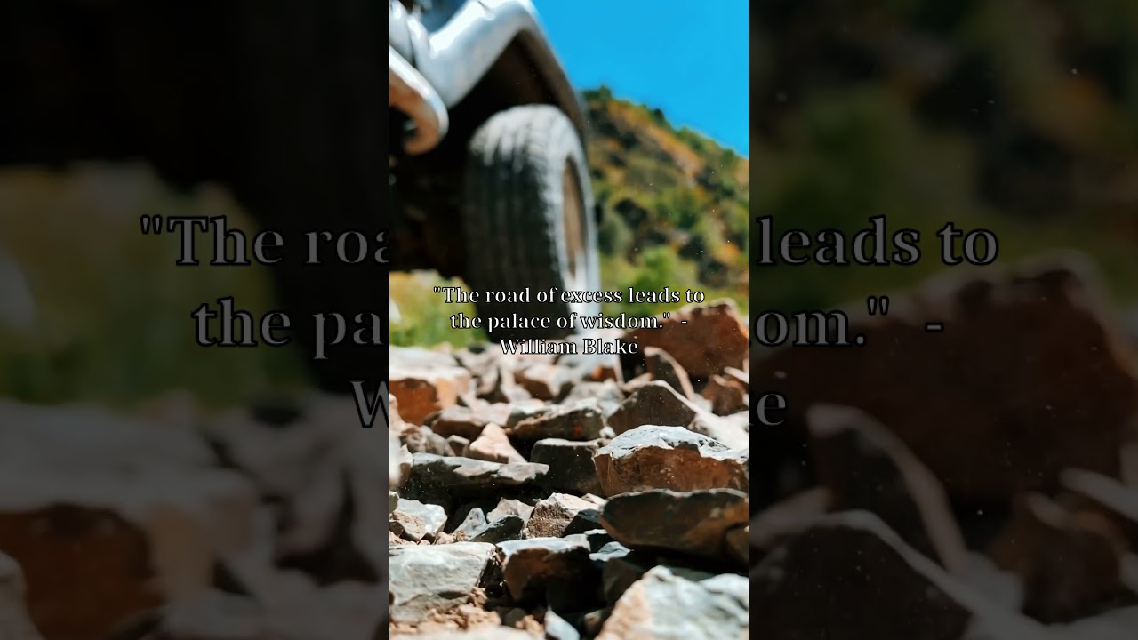 The road of excess leads to the palace of wisdom. 