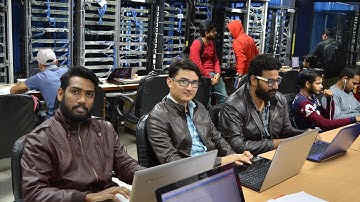 Network Bulls - India