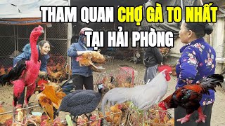 The BIGGEST chicken market in Hai Phong #review