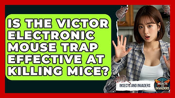 Is The Victor Electronic Mouse Trap Effective At Killing Mice? - Insects and Invaders