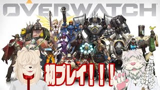 2014/11/13　噂の【Overwatch】ってゲームやってみた！【参加型】