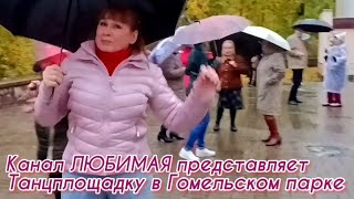 картинка: ПОЛЕВЫЕ ЦВЕТЫ... ТАНЦЫ 💃🕺💃🕺💃 ГОМЕЛЬ ♥️