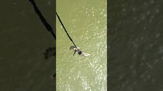 Beautiful Girl Bungee Jumping Challenge, So Exciting