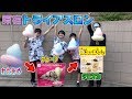 【早食い】新種目「原宿トライアスロン」（原宿人気飲食店3店舗で早食い競争）【クレープ】【タピオカ】【レインボーわたあめ】