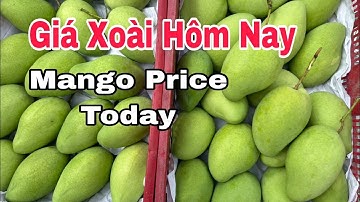 Giá Xoài Hôm Nay 21/1/2024 | VTK.CHANNEL