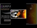 EXCELENTE Canto Campainha Puro para Esquentar e Treinar Canário – O Mais Cantador do Brasil 🎶🔥