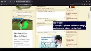 Alert 1 to win: A series of XSS challenges
