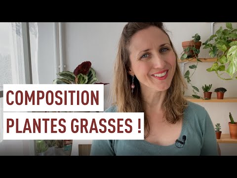 Vidéo: Acantoripsalis Est Un Grand Et Docile Cactus Forestier. Soins à Domicile. Photo