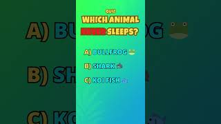 Which Animal Never Sleeps? Quizpop