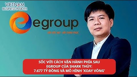 Cách vận hành Egroup của Shark Thủy: 7.677 tỷ đồng và mô hình ‘xoay vòng’ | Vietnam Business Insider