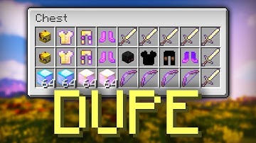 Dupe method/mod Hypixel Skyblock 2025 *NOT PATCHED*