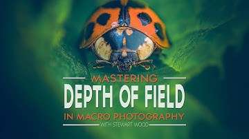 Master Depth of Field in Macro Photography: Ultimate Guide for Sharp Focus