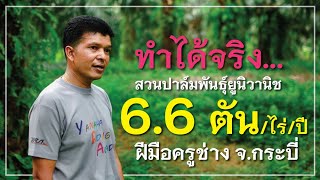 ทำได้จริง...สวนปาล์มพันธุ์ยูนิวานิ 6.6 ตัน/ไร่/ปี ใครๆ ก็ทำได้