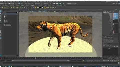 tiger animation.