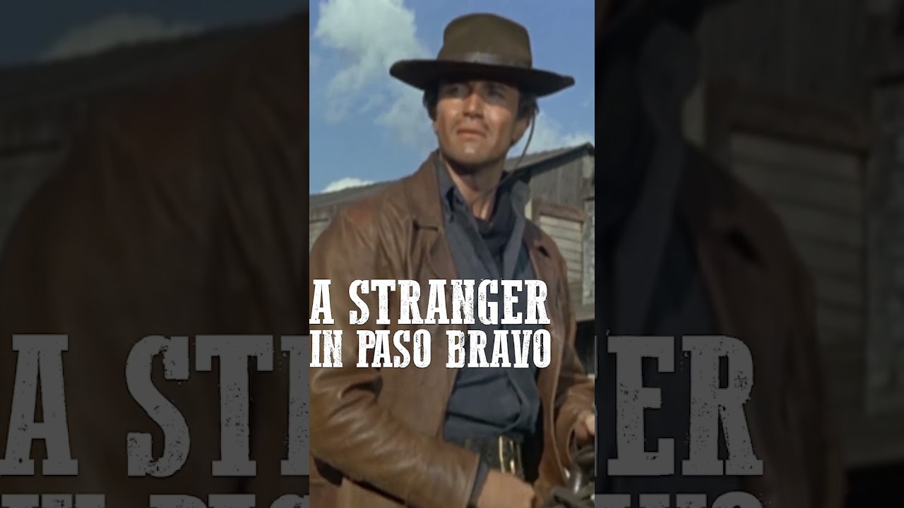 A Stranger in Paso Bravo 