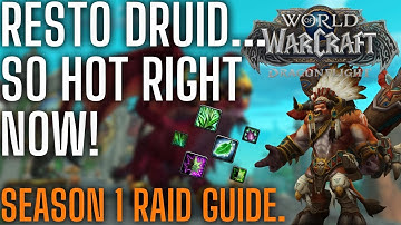 Dragonflight | RESTO DRUID Raid GUIDE | Vault of the Incarnates
