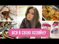 ДОМАШНИЙ ВЛОГ: что мы готовим дома, записала собаку на маникюр, домашние заботы по хозяйству