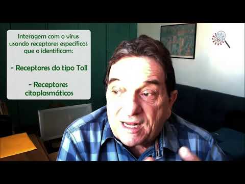 Pergunte ao Pesquisador #06: Resposta imune pulmonar ao novo coronavírus