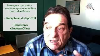 Pergunte ao Pesquisador #06: Resposta imune pulmonar ao novo coronavírus