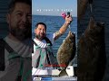 What is your favorite Halibut memory check ours out