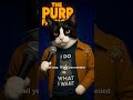 Our Dog Sleeps In Our Bed ЁЯОдЁЯШ Tuna Live From The Purr Factory Cats Comedy Natebargatze Parody Our Dog Sleeps In Our Bed ЁЯОдЁЯШ Tuna Live From The Purr Factory Cats Comedy Natebargatze Parody