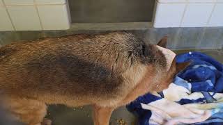 Acs A819486