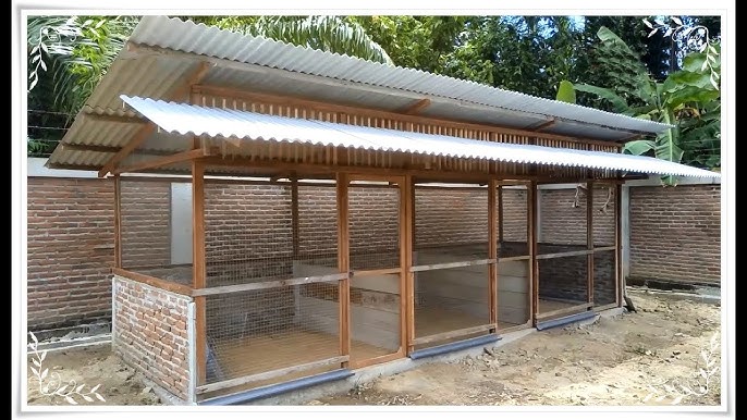 Chicken Cage Design For Home | How Much Space For 50 Chickens - Youtube