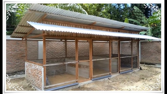 Chicken Cage Design for Home | How Much Space for 50 Chickens - YouTube Chicken Cage Design For Home | How Much Space For 50 Chickens - Youtube