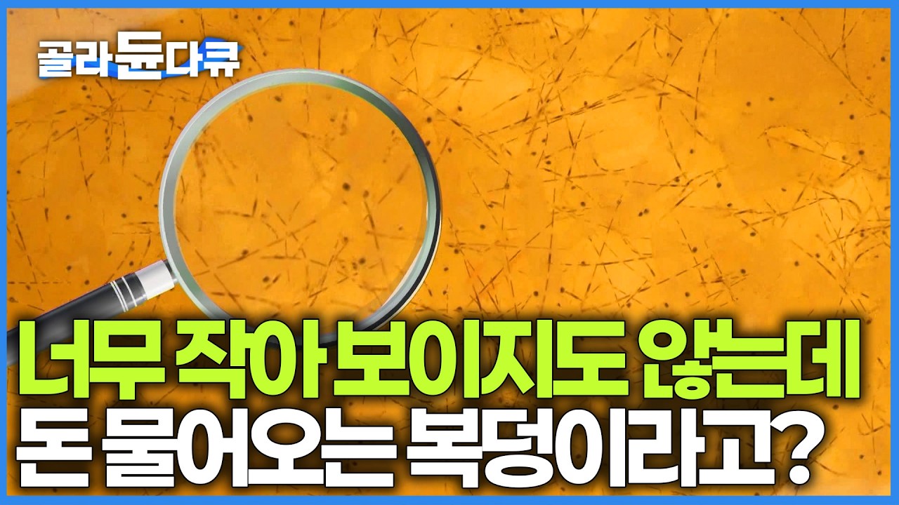 너무 작아서 보이지도 않는 이것. 1급수에서만 자라는데 다 크면 전 세계인이 눈독 들이는 고급 식재료 된다ㅣ베트남 크레이 피시 │ 극한직업 │ #골라듄다큐