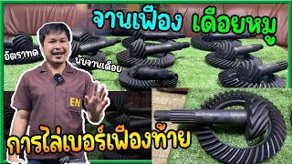 ไล่รอบเฟืองท้าย เปลี่ยนแค่จานเฟืองเดือยหมู screenshot 2