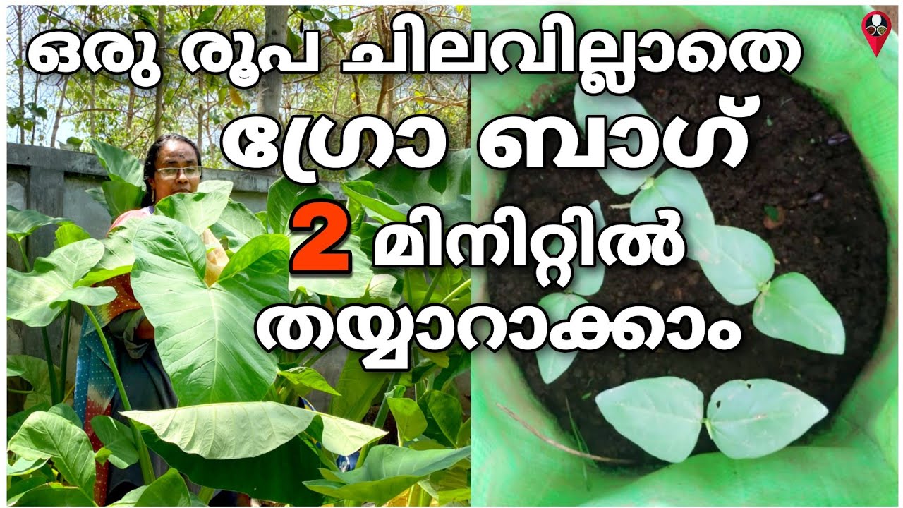 ഗ്രോബാഗ് നിറക്കുന്ന വിധം Grow bag making and filling in malayalam