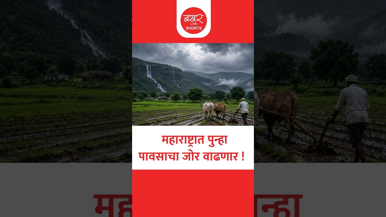 घाटमाथ्यासह मराठवाडा विदर्भात हायअलर्ट, पुढील पाच दिवस कसे?