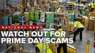 Cybersecurity expert warns shoppers to watch for fake sites, phishing scams for Prime Day